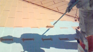 屋根塗装　ガイナ