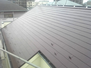 屋根塗装　遮熱２