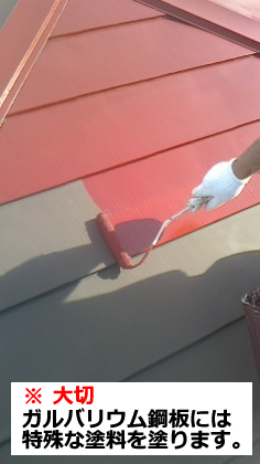 屋根塗装　ガルバリウム鋼板