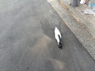 鉄骨塗装　清掃片づけ