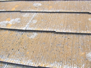 藤沢市　スレート屋根塗装前２