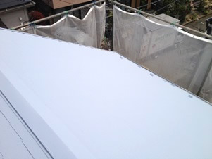 屋根塗装　ガイナの仕上がり写真３