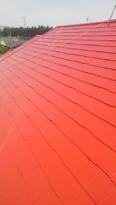 屋根　パミール中塗り２