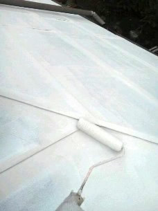 トタン屋根　ガイナ塗装３